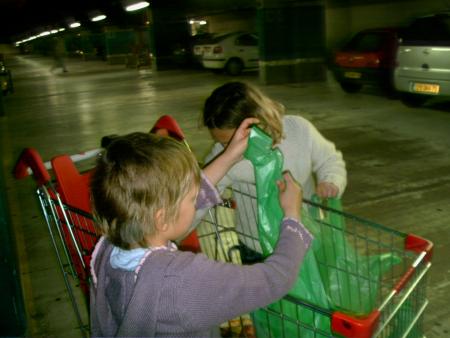 Les courses a auchan
